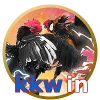 kkwin